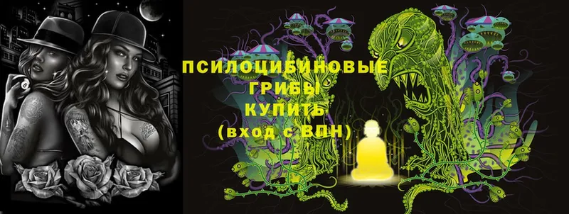 Псилоцибиновые грибы Magic Shrooms  купить закладку  Валуйки 